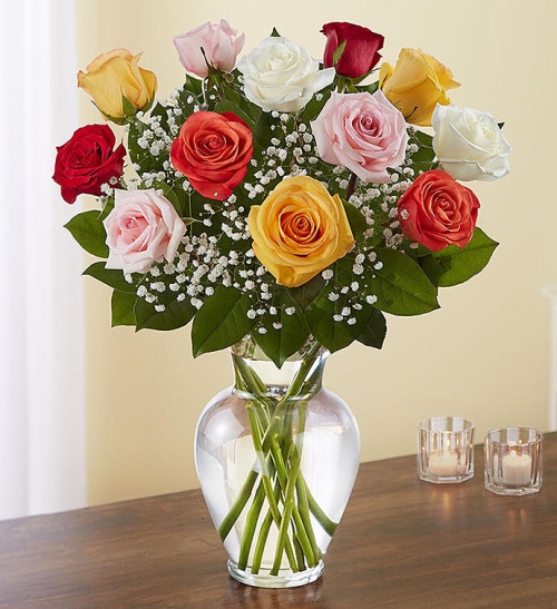 Premium Long Stem Assorted Roses