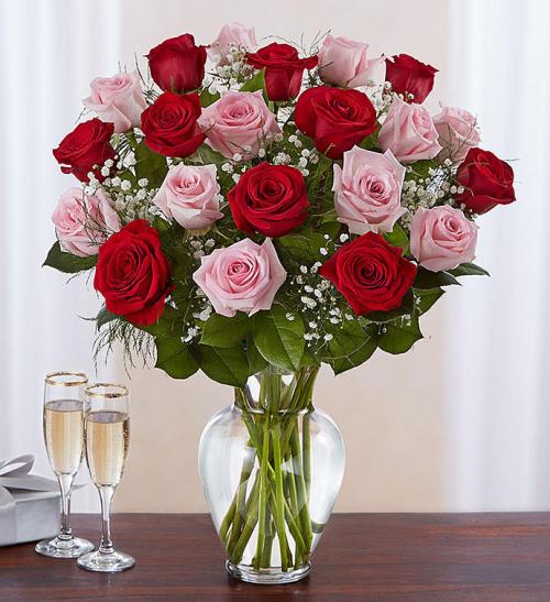 Long Stem Pink &amp; Red Roses