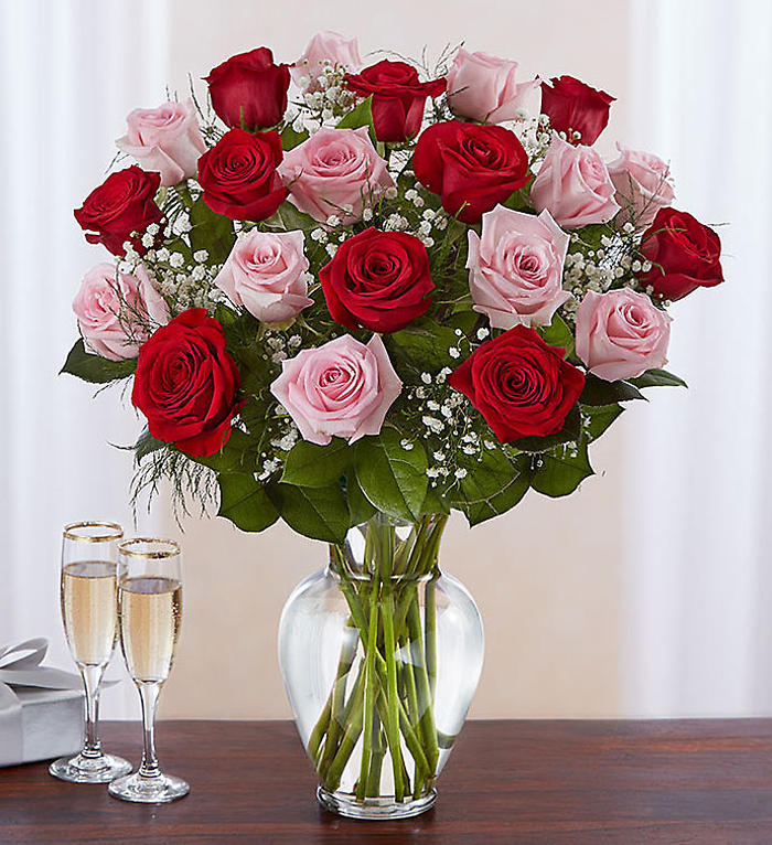 Long Stem Pink &amp; Red Roses