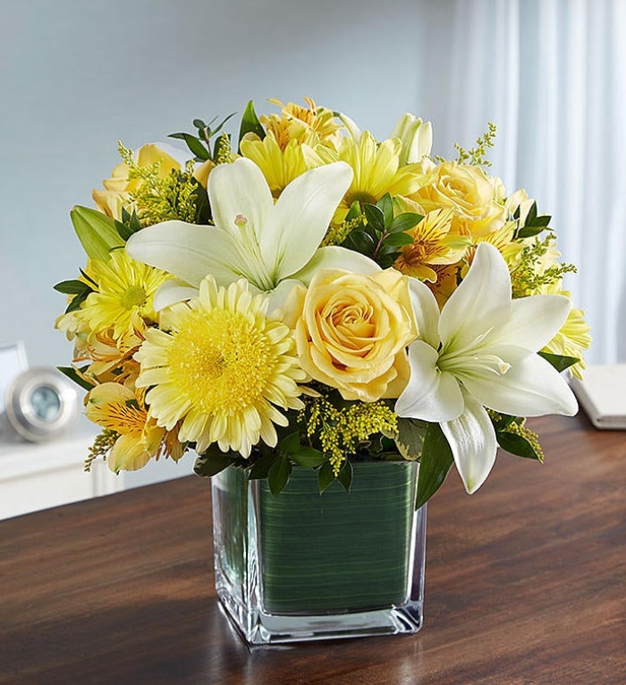Healing Tears&trade; Yellow &amp; White