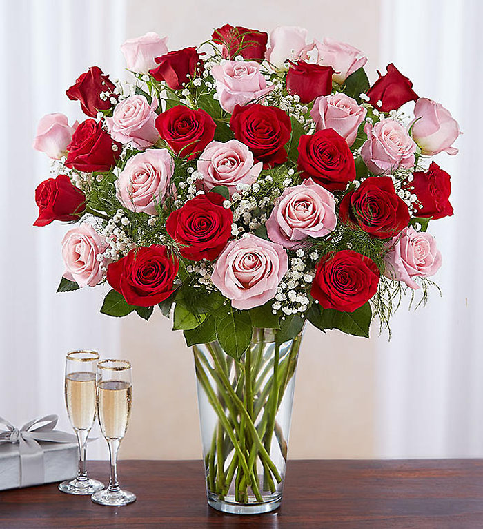Long Stem Pink &amp; Red Roses